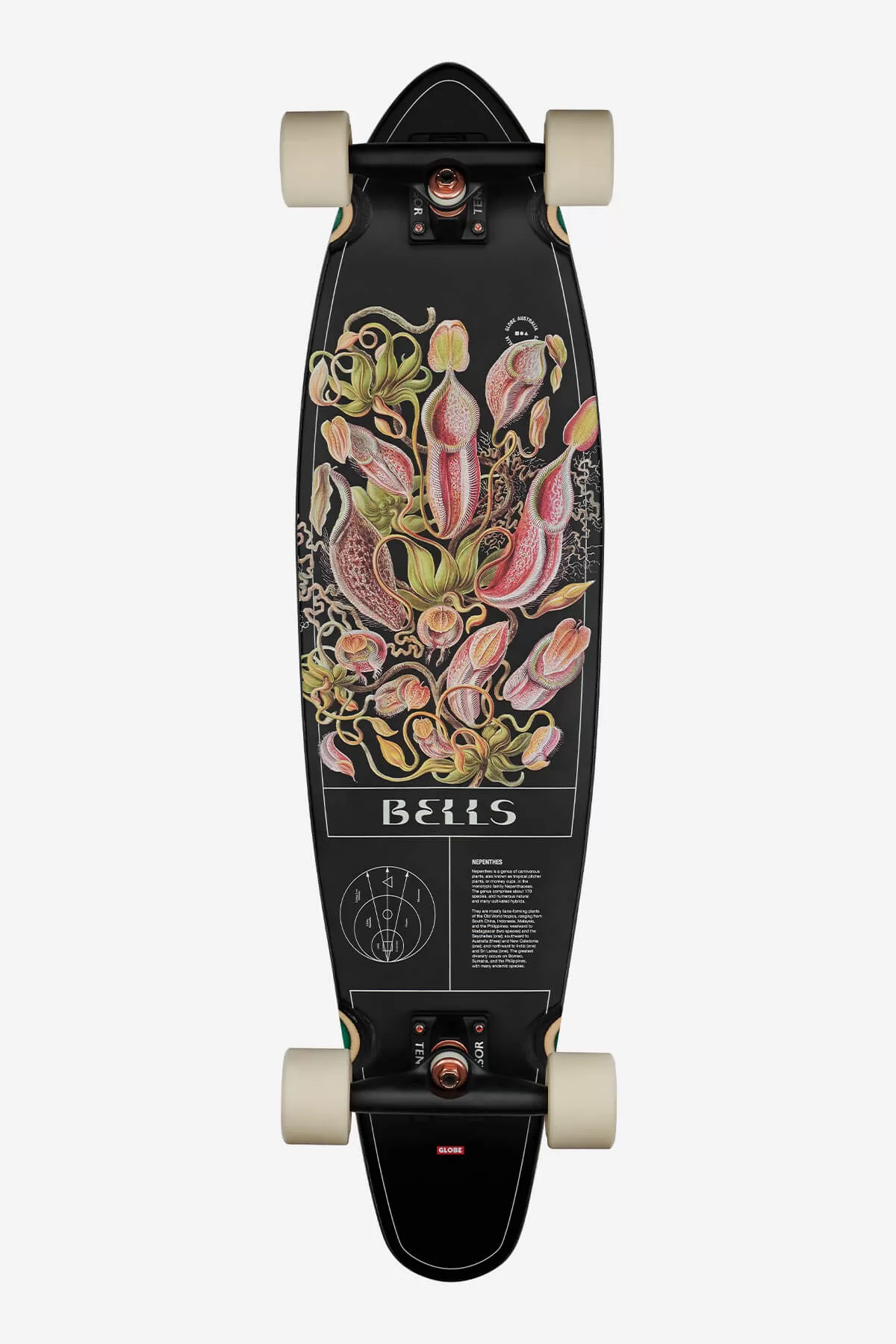 Bells - Pitcher - 34 Longboard