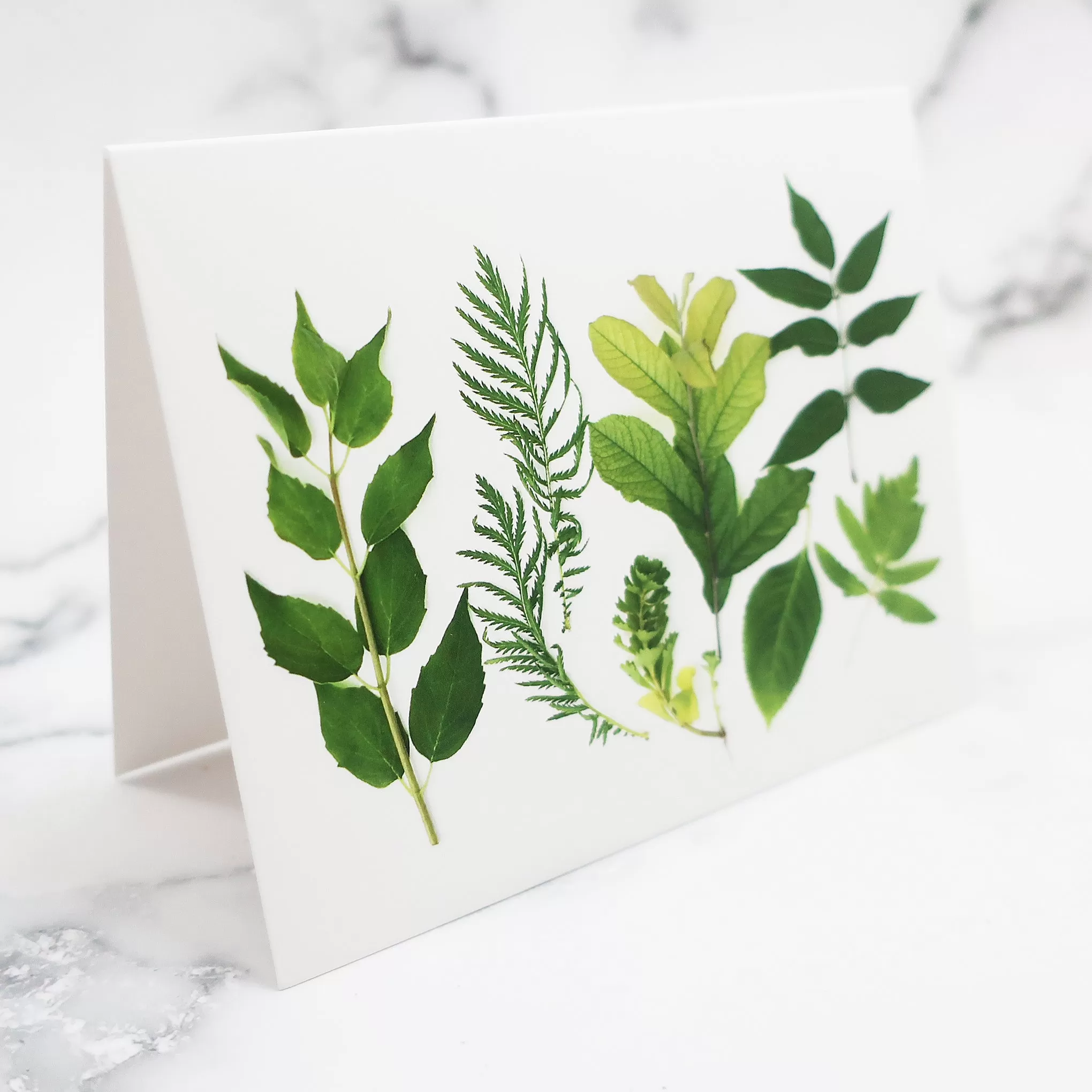 Blank Folding Greeting Card in Various Shades of Green Leaves Of Summer