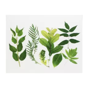 Blank Folding Greeting Card in Various Shades of Green Leaves Of Summer