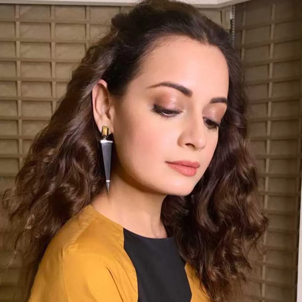 Dia Mirza in Pyramid Earrings