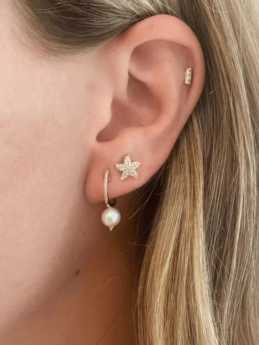 Starfish Stud Earrings 14K