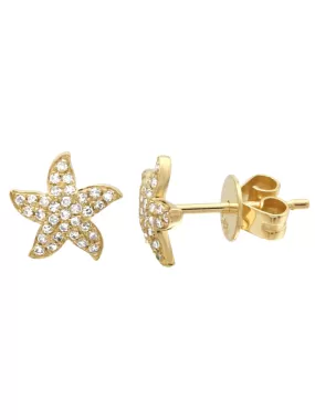 Starfish Stud Earrings 14K